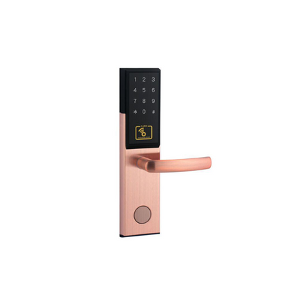 RFID + Passwort Türschloss